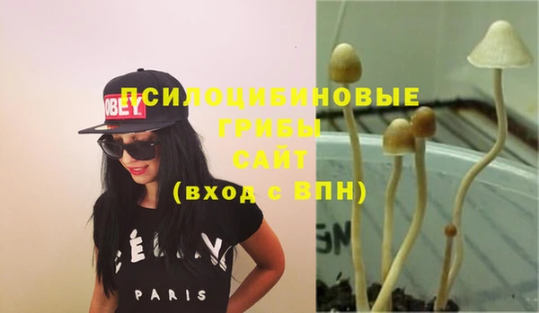 дурь Балахна