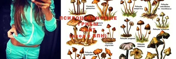 мяу мяу кристалл Балабаново