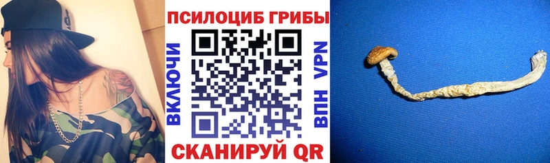 ссылка на мегу ТОР купить наркоту Грязи Галлюциногенные грибы Magic Shrooms
